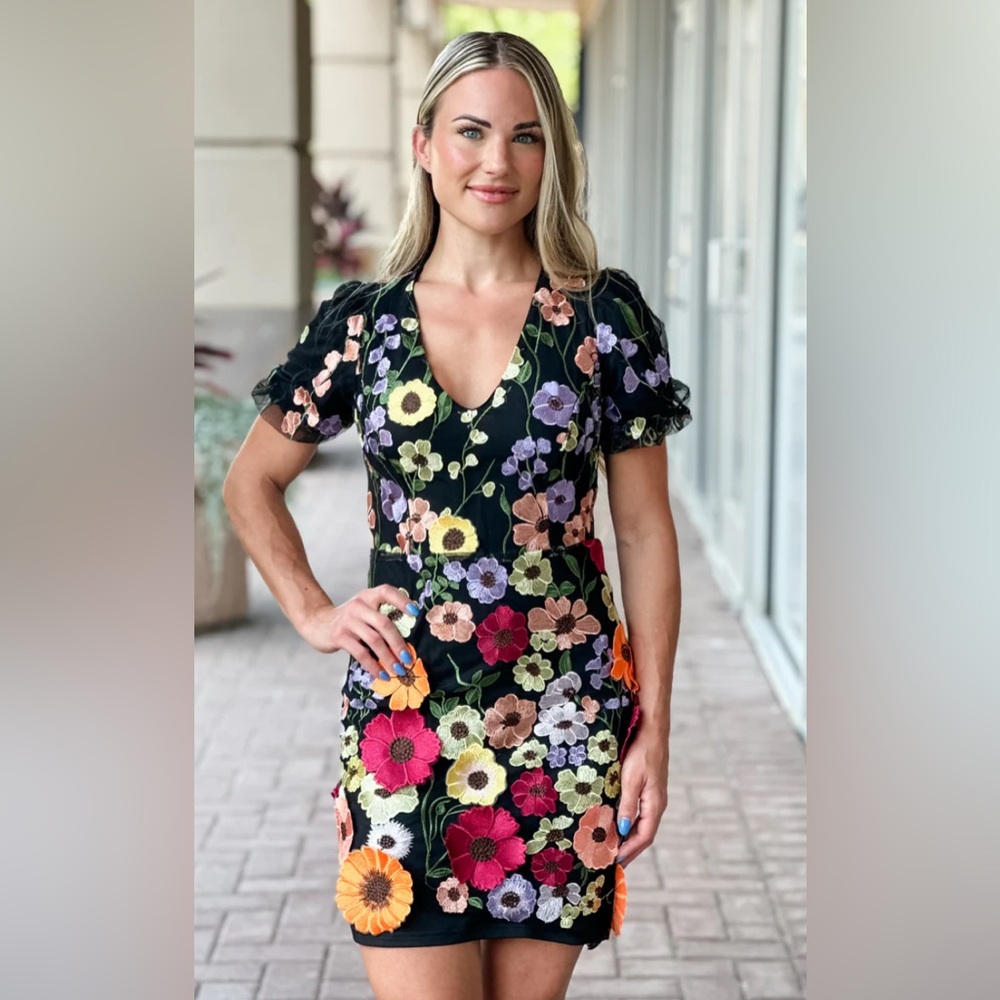 NWT Adelyn Rae 3D Floral Embroidered Mesh V-Neck Short Sleeve Mini Dress…